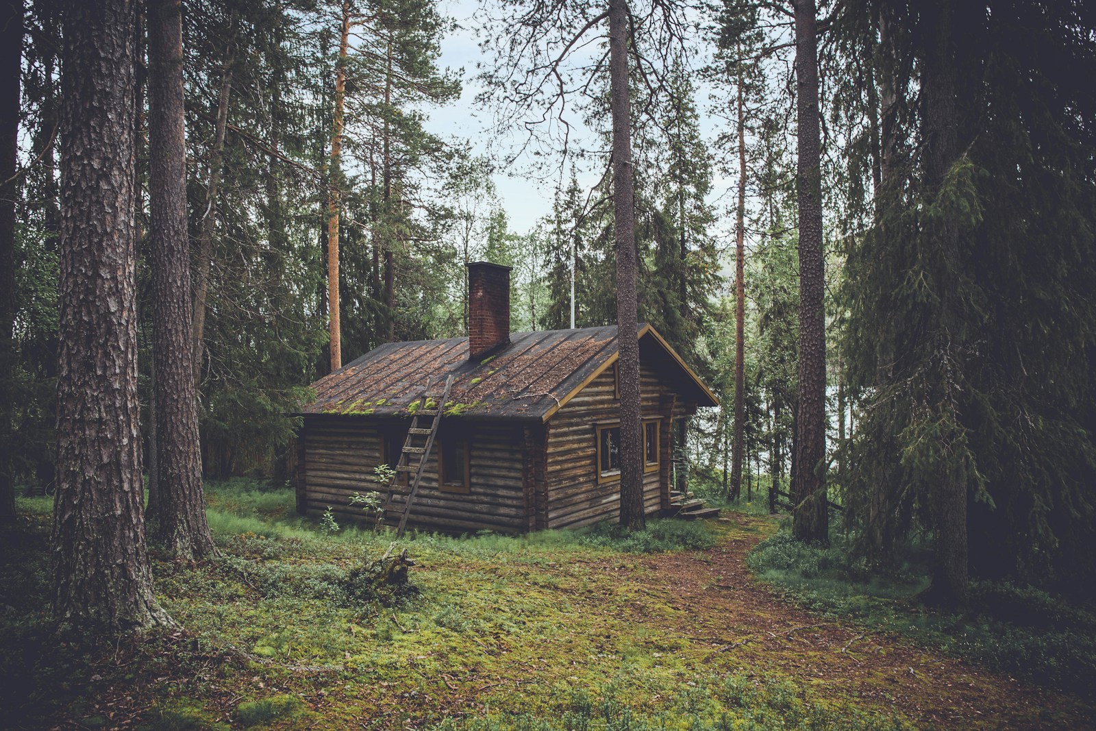 Illustrative architectural photograph of a house surrounded by trees